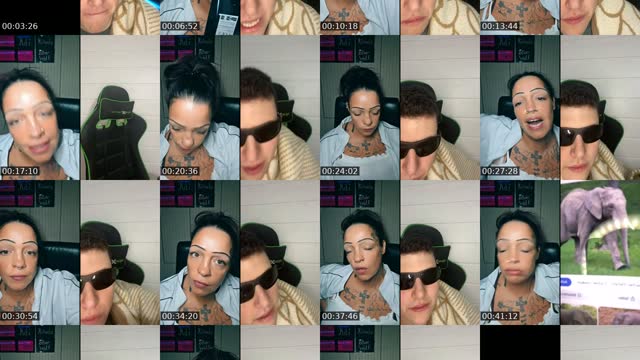 TikTok live: Lets Go LIVE! by @tbwpueppi