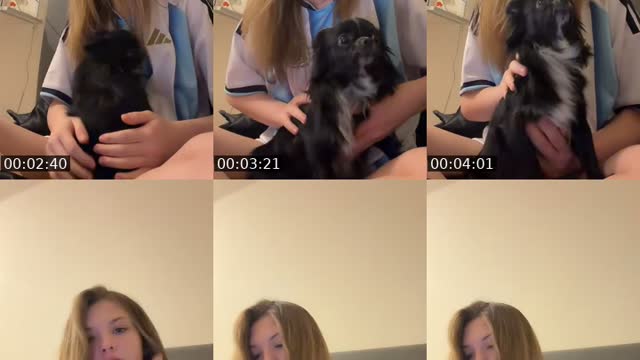 @camilavgca TikTok live
