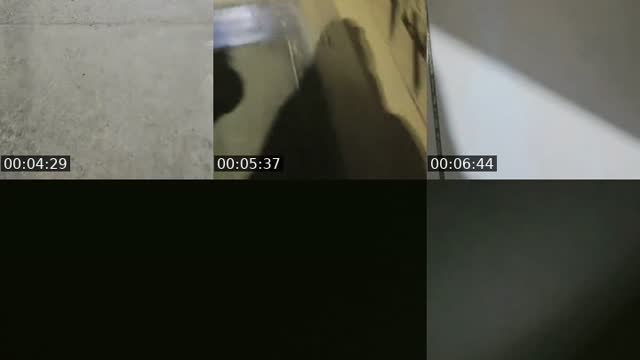 @liset.69 TikTok live