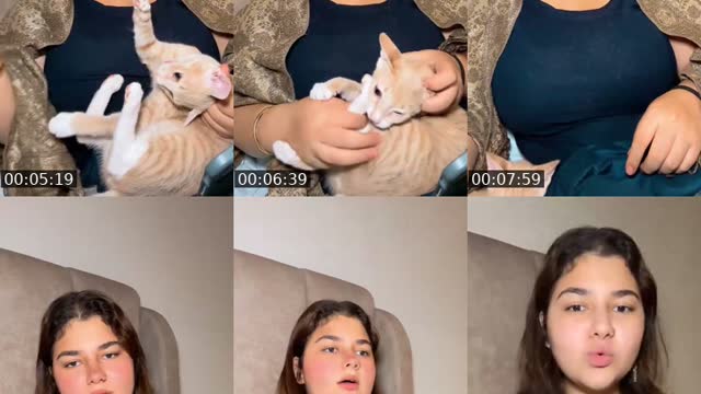 @nohatarek20 TikTok live