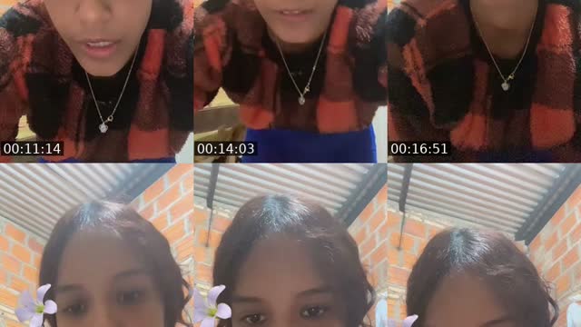 @lujanflores56 TikTok live from 2026-08-11
