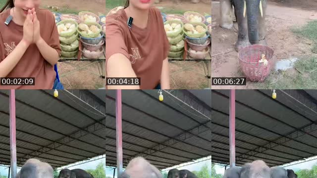 @cream_449900 TikTok live from 2026-08-10