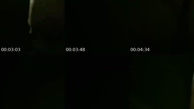 ديوان سطسط الجديد👑 - @k.b5i