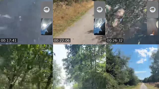 @pupuce25011 TikTok live from 2026-08-10