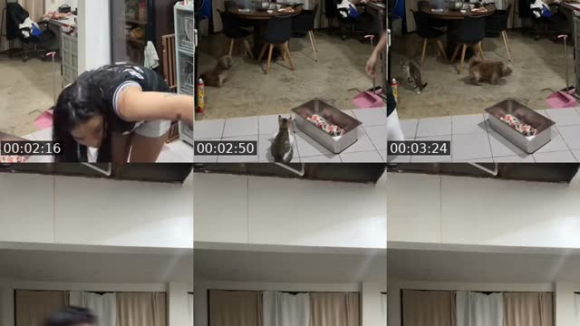 @pongkayy TikTok live from 2026-08-10