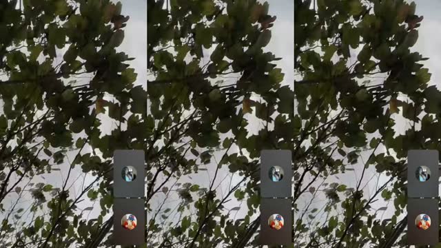 @limda_451 TikTok live from 2026-08-11