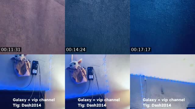 @dash_dgraff TikTok live from 2026-08-11