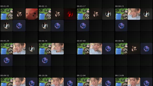 @wilber35643 TikTok live