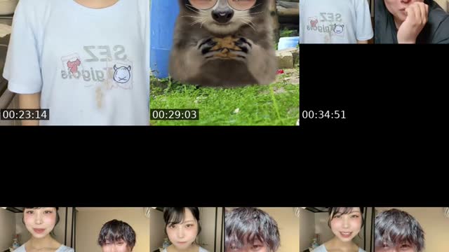 TikTok live: なっちの森へようこそ by @nananano_yatsu