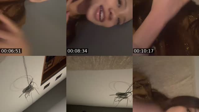 @darlinghaaland TikTok live from 2026-08-11