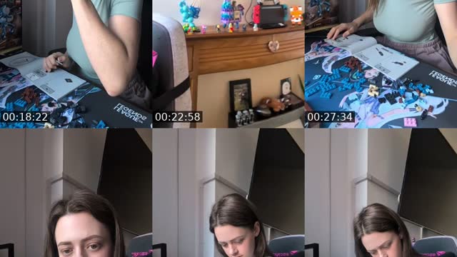 TikTok live: A New LEGO build 💕 by @notnorthernfoxx