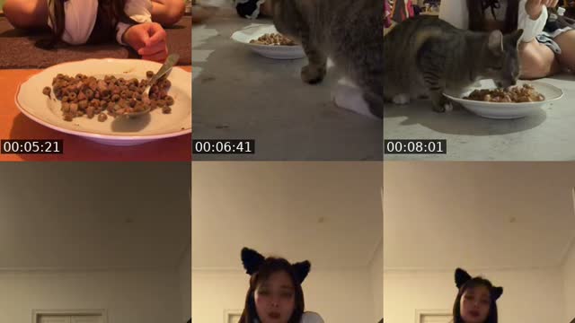 @poppydorf TikTok live