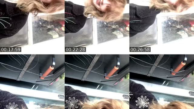 @f_u_y0_ TikTok live from 2026-08-11