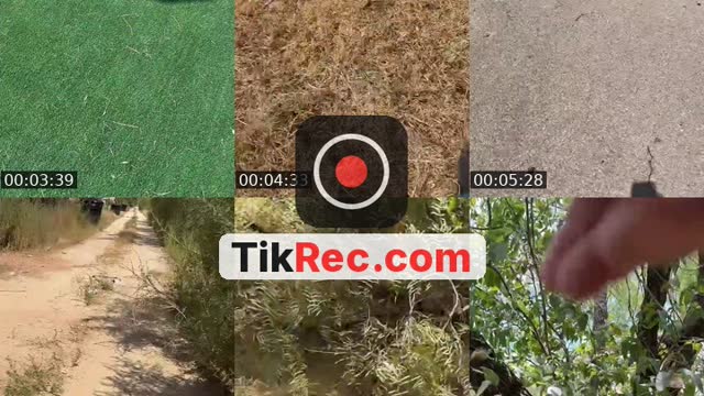 @nicorunnerx TikTok live from 2026-09-06