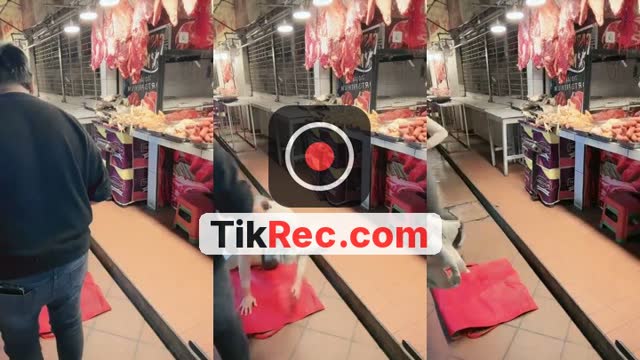 @sandygarcia4621 TikTok live