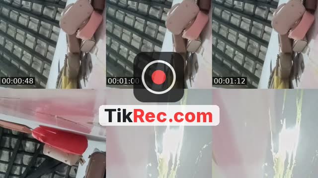 @xqieruismdwizaqwhks TikTok live