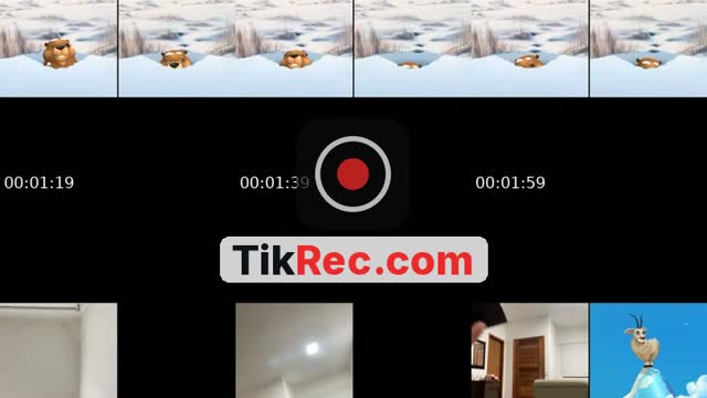 @liz_m303 TikTok live