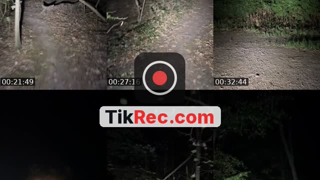 Waldstream bei Nacht 🌲 / Part 13 - @themrcrazy1997