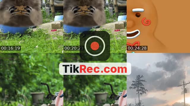 @tfqqqq123 TikTok live from 2026-09-07