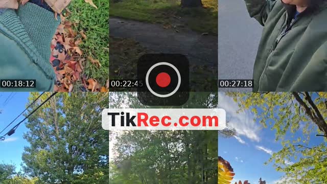 @mainlymainefinds TikTok live from 2026-09-07