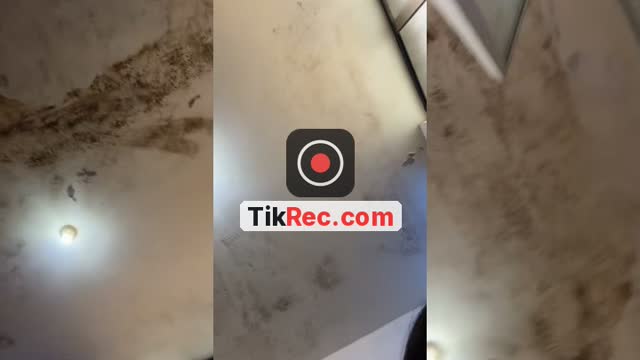 @angelita5275 TikTok live
