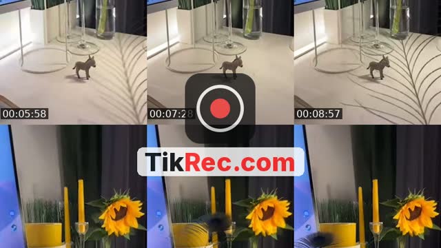 @axia.selsherbny TikTok live
