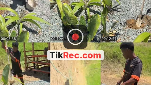 TikTok live: que bendición ve by @j.h.delacruz.7.7.7