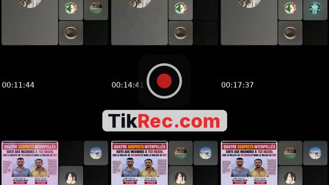 @dzforce13officiel1 TikTok live