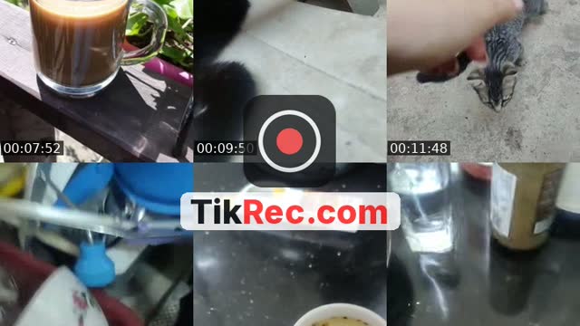 @lymonies_leli TikTok live from 2026-09-08