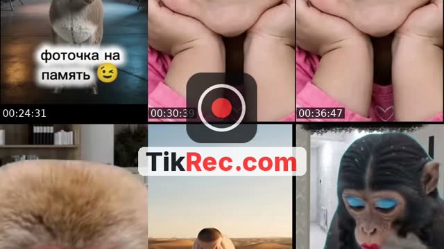 @garinpetrosyan TikTok live from 2026-09-08