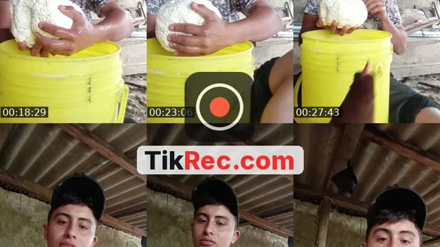 TikTok live: hello💜queso🧀🐄 by @juan_diego520