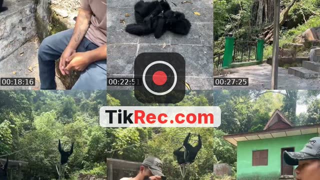 @detimmanik8 TikTok live from 2026-09-08