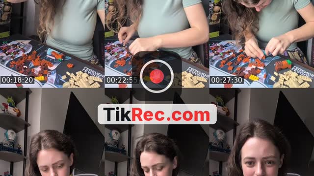 TikTok live: Shrek LEGO build! by @notnorthernfoxx
