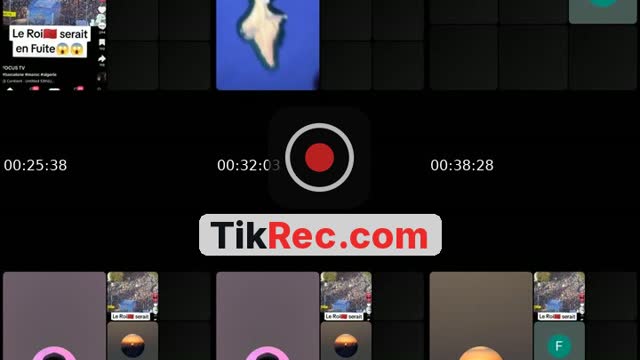 @lesforainsforaines2 TikTok live