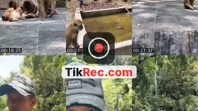 @detimmanik8 TikTok live from 2026-09-09