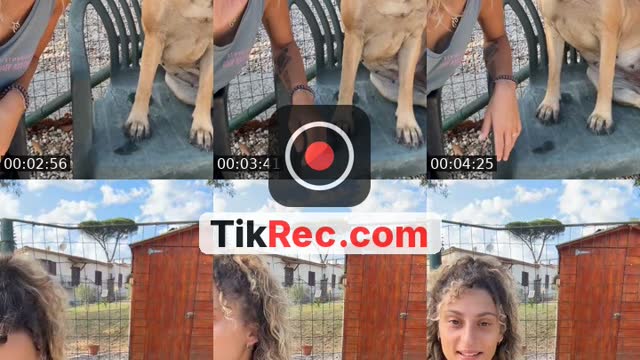 @asilovicodog TikTok live