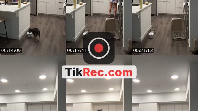 @archussy TikTok live from 2026-09-10