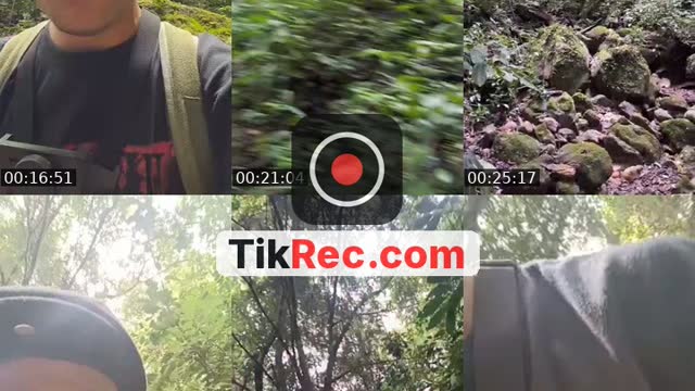 @detimmanik8 TikTok live from 2026-09-10