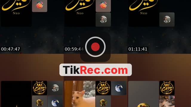 TikTok live: No egos, no politics, no bakwaas by @neoinmotionuk