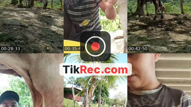 TikTok live: hello💜 chocolate 🍫 by @juan_diego520