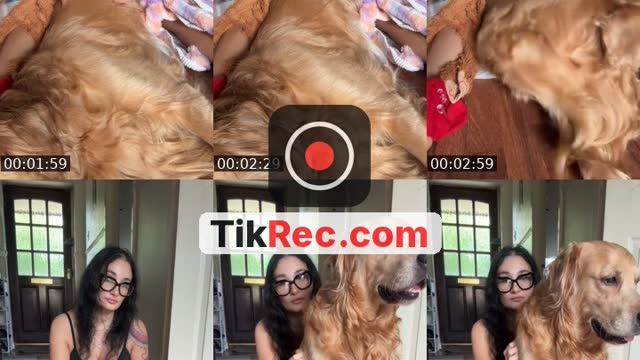 @ottox500 TikTok live