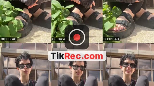 TikTok live: meow meow by @delf0ster