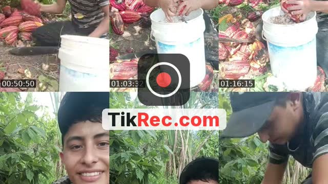 TikTok live: hello💜 chocolate 🍫 by @juan_diego520