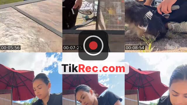 @evalynnruiz0 TikTok live