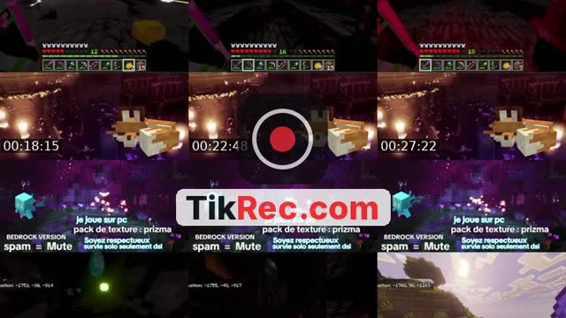 TikTok live: DODO by @burri3dalive