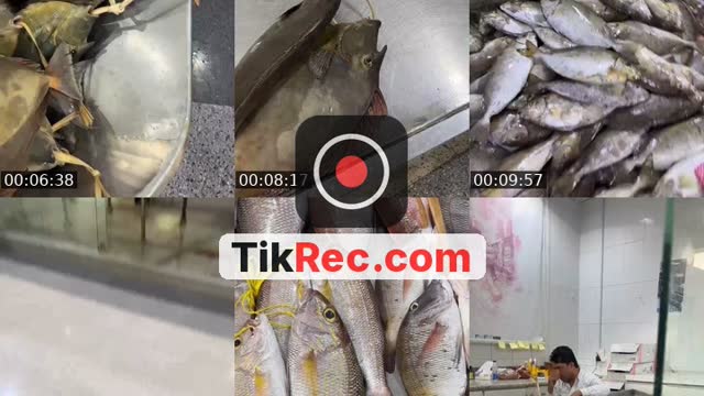 @za.zau1 TikTok live