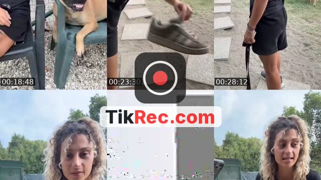 @asilovicodog TikTok live from 2026-09-10