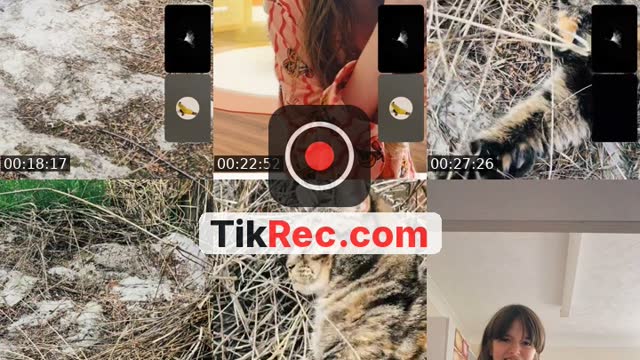 TikTok live: lilo live by @amy_taylorsversion13