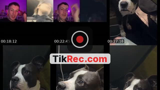 TikTok live: 12/12 LETS GO by @big_orse_dts