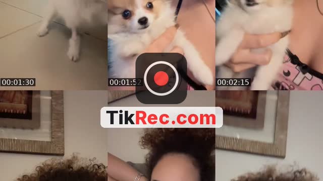 @evanightstar TikTok live